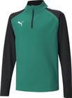 Teamliga 1/4 Zip Top Jr