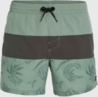 MIX & Match Cali Block 15'' Swim Shorts