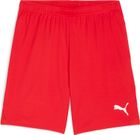 Teamgoal Shorts