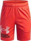 Tech Logo Shorts