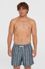 O'neill Cali Print 15'' Swimshorts