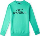 Logo Crew Sweatshirt