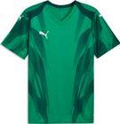 Teamfinal Graphic+ Jersey