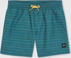 MIX & Match Cali First 13'' Swim Shorts