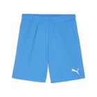 Teamgoal Shorts