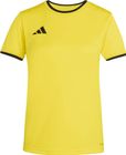 Entrada26 Jersey