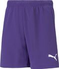 Teamrise Short