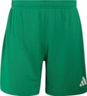 Entrada26 Shorts