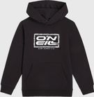O'neill Logo Hoodie