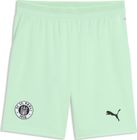 Fcsp Plain Socks Replica