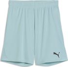 Teamgoal Shorts Jr