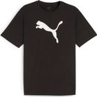 Teamrise Logo Jersey Cotton
