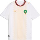 SFV Replica Match Jersey GK