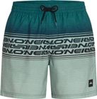 O'neill Logo Stripe 16'' Swimshorts