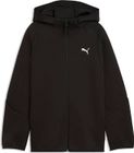 Evostripe Full-zip Hoodie DK B