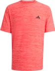 Workout Essentials Flex T-shirt