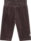 Pants Velour