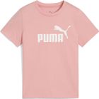 Essentials No. 1 Logo Tee PS