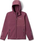 Ascender Hooded Softshell