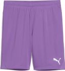Teamgoal Shorts