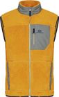 Men Glacier Pile Vest