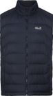 Wild Pass Down Vest M RDS