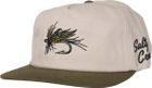 Coastal Snapback