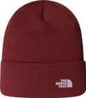 Norm Beanie