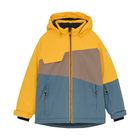 Ski Jacket Colorblock 742229