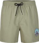 Cali State 15'' Swim Shorts