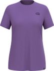 The Ascent Merino 160 Raincloud T-shirt