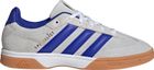 Spezialist Indoor Shoes