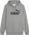 Essentials No 1 Logo Hoodie TR