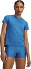 Vanish SS
