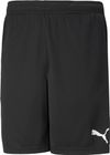 Teamrise Training Shorts