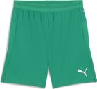 Teamcup Shorts