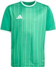 Entrada26 Graphic Jersey Kids