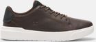 Mens Low Lace UP Sneaker