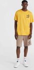 Future Surf Society Shorts