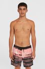 O'neill Cali Gradient 15'' Swimshorts