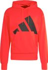 Essentials BIG Logo French Terry Hoodie