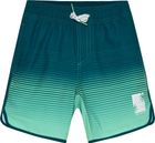 Swim Long Shorts AOP 720401