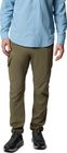 Skien Valley Cargo Pant