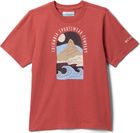 Valley Creek II Short Sleeve Graphic Shirt