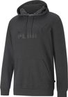 Essentials Big Logo Hoodie TR