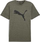 Train FAV Heather CAT Tee