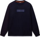 S-box Logo LS 1