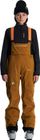Apex Mtn-x 3L Bib Pant Women’s