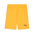 Teamgoal Shorts