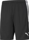 Teamliga Training Shorts